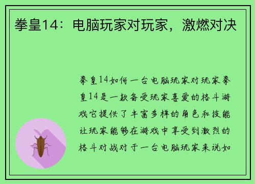 拳皇14：电脑玩家对玩家，激燃对决